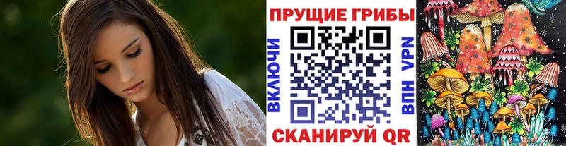 дарнет шоп  Воронеж  Псилоцибиновые грибы GOLDEN TEACHER 