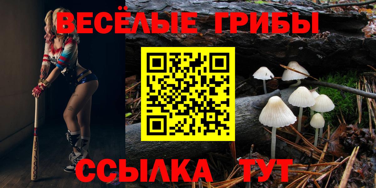 дарнет шоп  Вход с VPN  Галлюциногенные грибы ЛСД  Воронеж  Псилоцибиновые грибы Cubensis 